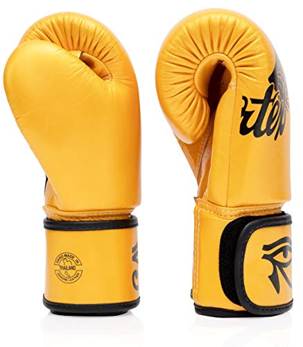 Fairtex BGV1 Boxing Gloves with Deodorizer Inserts | Shock Absorbent Gloves + Odor & Moisture Absorber for Boxing, MMA, Muay Thai | Perfect Bundle for Clean & Durable Gear