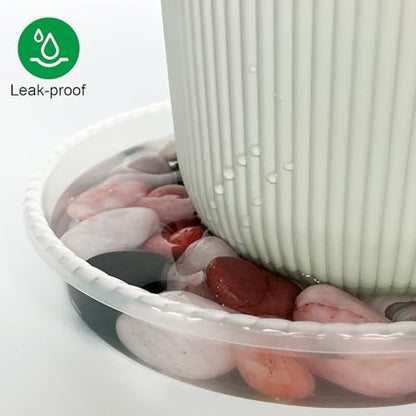 RooTrimmer 5 Pack Plant Saucer for Indoor Plants, 8 Inch Clear Plant Trays for Pots, Durable Plastic Flower Plant Pot Saucer, Heavy Duty Sturdy Plant Saucer Drip Trays for Pots - size: 8 inch
