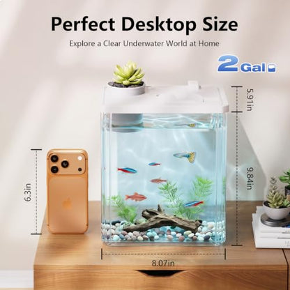 2 Gallon Betta Fish Tank Aquarium Starter Kit with Light and Lid(White) | Premium Acrylic Aquarium with Light and Lid, Crystal Clear Starter Kit for Betta Fish, Shrimp, Snails and Small Fish - color: White, size: 2 Gallon
