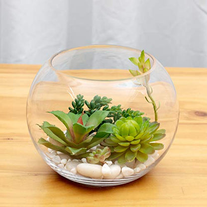 WGV Bowl Glass Vase Bulk, Diameter 10", Height 8", Open Width 6", (Multiple Sizes Choices) Clear Bubble Planter Terrarium Fish Bowl for Wedding Event Home Decor, 4 Pieces (VBW0010) - size: 10"D 1 Case