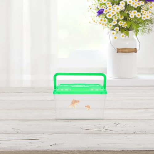 BESPORTBLE 4pcs Mini Handheld Fish Tank with Handle Portable Transparent Aquarium Box for Small Fish Turtles Reptiles and Hamsters for Travel and Pet Transport