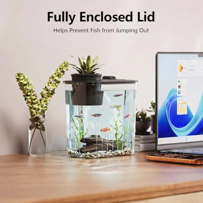0.8 Gallon Betta Fish Tank Aquarium Starter Kit with Light and Lid(Black) | Premium Acrylic Aquarium with Light and Lid, Crystal Clear Starter Kit for Betta Fish, Shrimp, Snails and Small Fish - color: Black, size: 0.8 Gallon