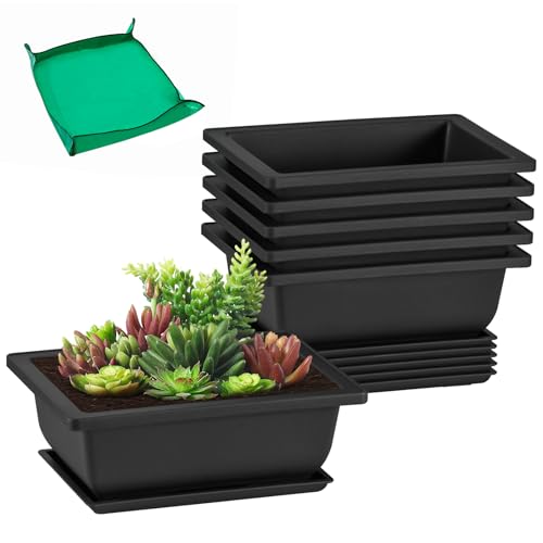 GROWNEER 6 Packs 6.5 Inch Bonsai Training Pots with Drainage Humidity Trays, Bonsai Tree Kits with 1 Repotting Mat, Growing Planter for Garden, Yard, Balcony, Office, Indoor, Outdoor - size: 6pcs/6.5x4.8in