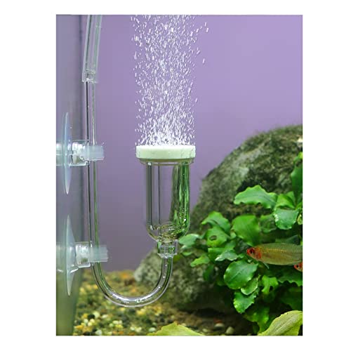boxtech Aquarium Air Stone, Fish Tank Bubble Diffuser High Dissolved Oxygen Airstones for Air Pump Accessoriess with 1 Check Valve, 2 Suction Cup for Aquarium Pond Hydroponic - size: 1 inch