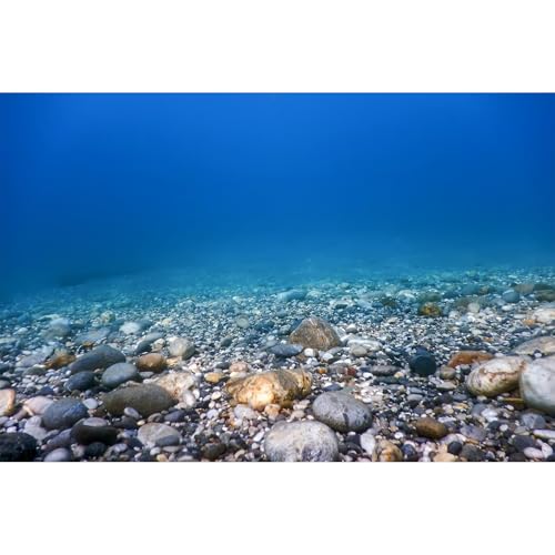 Underwater Aquarium Background Ocean Seabed Underwater Rocks and Pebbles Fish Tank Background Sunlight Underwater Life Terrarium Background Sunbeams Underwater Rocks Aquarium Backdrop 24x16in - color: Blue, size: 24(W)x16(H)in