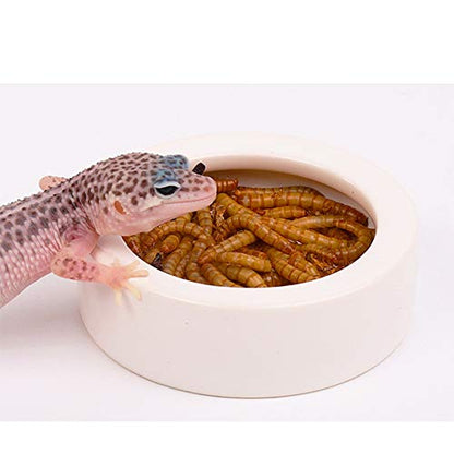 Reptile Food Water Bowl, 2 pcs Ceramics Worm Dish ,Anti-Escape Reptile Water Feeder ,Mealworm Bowl for Lizard Gecko Bearded Dragon, (S,M,L) (Large) - size: Large