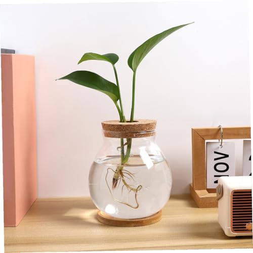 DOITOOL Small Glass Fish Bowl with Lid, Hydroponic Mini Fish Tank 10x11cm, Glass Aquarium with Mat for Desktop Office and Home Terrarium