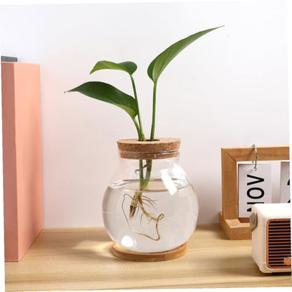 DOITOOL Small Glass Fish Bowl with Lid, Hydroponic Mini Fish Tank 10x11cm, Glass Aquarium with Mat for Desktop Office and Home Terrarium