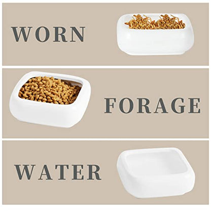 Ceramic Reptile Food Bowls, Reptile Water Food Dish (White, Small 2-Pack)