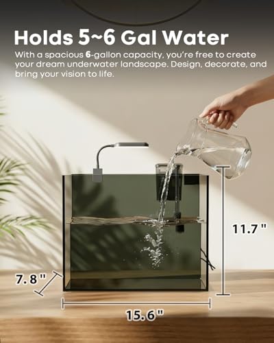 5 Gallon Small Aquarium Set Glass Fish Tank 6 Gallon, Starter Kit with Heater Water Pump Cleaning System Filter Bright Light Rocks Gravel Cleaning Tool, Clear Rimless Betta Plants - size: 5 Gallon