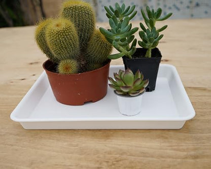 VUWEZ Rectangle Plant Tray, Plant Drip Tray, Plant Pot Saucers, Plant Germination Trays, Plant Saucers, 14.5'' x 11'' x 1.5'' (2 pack), Creamy White - color: Creamy White, size: 14.5'' x 11'' x 1.5'' (2 pack)