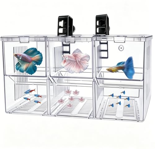 Fish Breeding Box,Breeding Box for Fish Tank,Betta Breeder Box | Triple-Chamber Fish Breeder Box,Transparent,With Suction Cups & Hook,For Betta,Guppy,Shrimp,Separator & Hatchery
