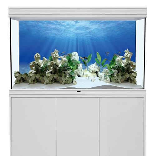 AWERT Undersea Aquarium Backdrop Sunshine Fish Tank Background 72x24 inches | AWERT Ocean Floor Underwater World Polyester Background - size: 72 x 24 inches