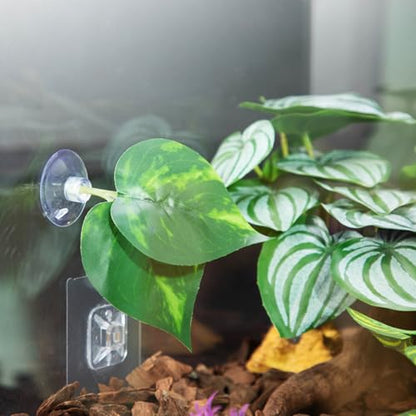 Suction Cup Pad Resting Bed for Bettas Fish Hammock Fishtanks Spawning Ground Aquariums Breeding Supply Fishtanks Ornament - color: Y11 model
