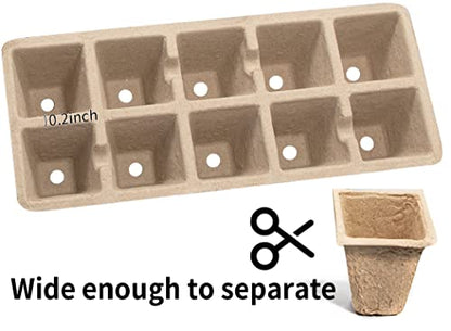 200 Cells Seed Starter Tray, 20 Pack Biodegradable Seed Starter Kit, Peat Pots for Seedlings with 200 Plant Labels, 2 Seed Planting Tool and 1 Spray Bottle