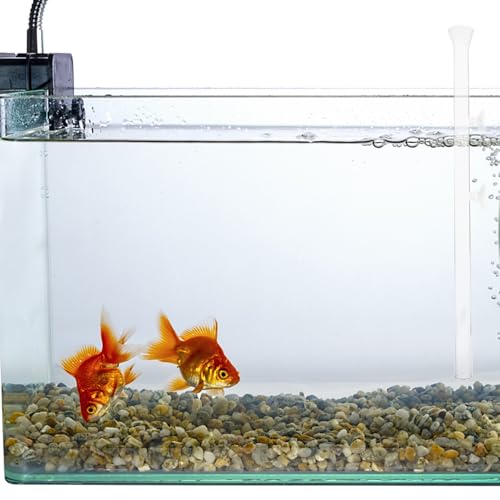 Aquarium Feeder Tube and Shrimp Feeding Dish Glass 40cm Fish Feed Tool for Aquarium Accessories Suitable for Fish and Shrimp