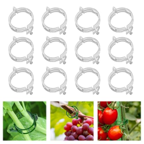 100pcs Plant Support Clips, Plastic Clips for Climbing Plants (100, White) | Reusable Plastic Trellis Clips for Tomato, Grape Vine, Vegetables, Garden Fixing Clips - color: White