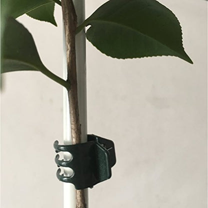 50 PCS Large Size Orchid Clips and Garden Support Clips Green (Not with Flower and Plant Spike)