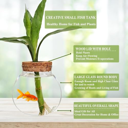 Small Fish Bowl, Cute Betta Tank, High Clear Fish Glass Bowl, Desktop Mini Aquarium Vases for Betta Fish and Hydroponic Plants, Plants Propagation Station, Home Office Table Decorations