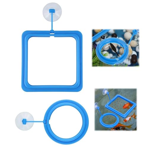 2PCS Small Fish Feeding Ring, Square and Round Mini Aquarium Feeder with Strong Suction Cup Floating Fish Feeder Ring for Betta Goldfish Guppy (Blue) - color: Blue