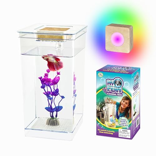 My 1st Fish Tank™ : Gen 2, Mini Fish Tank Aquarium Starter Kit 1 gal, Professional for Betta, Easny Maintain, Self Cleaning System-Only Add Water, Beautiful Color Changing LED Light, Color Box