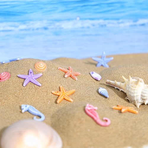 TENDYCOCO Mini Beach Seashells Sea Star Seahorse Natural Conch for Home Decorations Beach Theme Party Wedding DIY Crafts Fish Tank Vase Fillers Bonsai Decor 48pcs