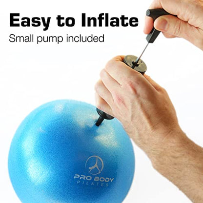 ProBody Pilates 볼 펌프 포함 소형 운동 공, 22.9cm(9인치) 바레 볼, 미니 소프트 요가 볼, 안정성을 위한 운동 공, 바, 피트니스, 복근, 코어, 물리 치료 및 물리 치료 공, 가정 체육관 및 사무실 - color: 옐로우