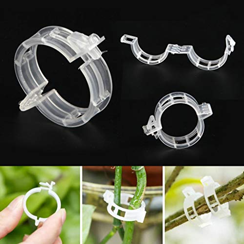Spencer 200 Pcs Plant Support Clips - 100 Pcs Tomato Vine Clips (1.18” Inner Diameter) and 100 Pcs Plant Bender (1.57” in Length) for Garden Plants Fruits Vegetables - size: 100 Pcs + 100 Pcs