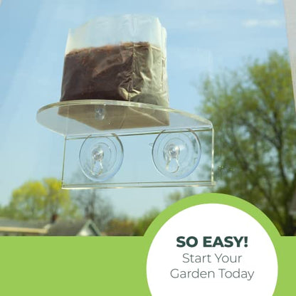 Window Garden Veg Ledge - Window Shelf for Plants, Clear Acrylic Shelves - Suction Cup Indoor Plant Holder - Glass Window Sill Extender for Microgreens Kit, Seed Starter Pots, Planters (1 Pack) - size: 1 Medium (Original)