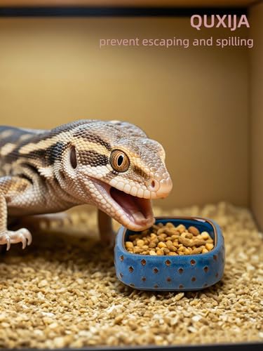 2-Pcs Ceramic Reptile Food Bowl, Mini Reptile Feeder (Farmhouse Blue) | Stable Base Design, Smooth Surface for Easy Cleaning, Safe Feeding Solution, Compact Habitat Accessory, Everyday Use - color: Farmhouse Blue