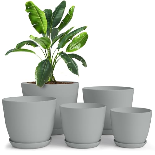 Plant Pots Indoor with Drainage, 5 Pack Multi-Size Planters Set, Grey | Drainage holes included Multiple sizes 7/6.6/6/5.3/4.8 In Indoor plants and flowers Durable plastic construction - color: Gray, size: Pack of 5