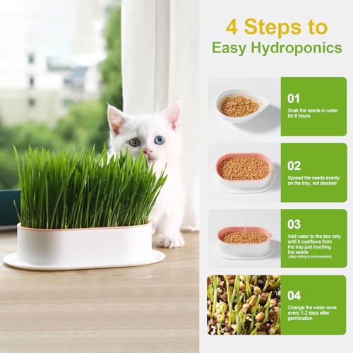 Cat Grass Planter, Hydroponic Cat Grass Kit with Germination Tray, Soil-Free Cat Grass Tray for Indoor Cats, Microgreens Growing Tray, No Seeds Included