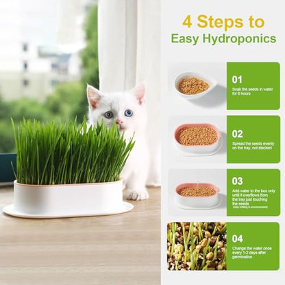 Cat Grass Planter, Hydroponic Cat Grass Kit with Germination Tray, Soil-Free Cat Grass Tray for Indoor Cats, Microgreens Growing Tray, No Seeds Included