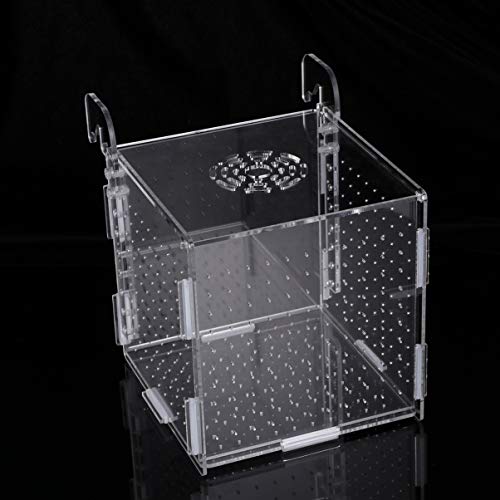 POPETPOP Fish Breeding Box-2 Box Hatchery Incubator Aquarium Fish Breeding Boxes Divider Hatching Boxes Accessory-Hook Pattern - size: Size 5