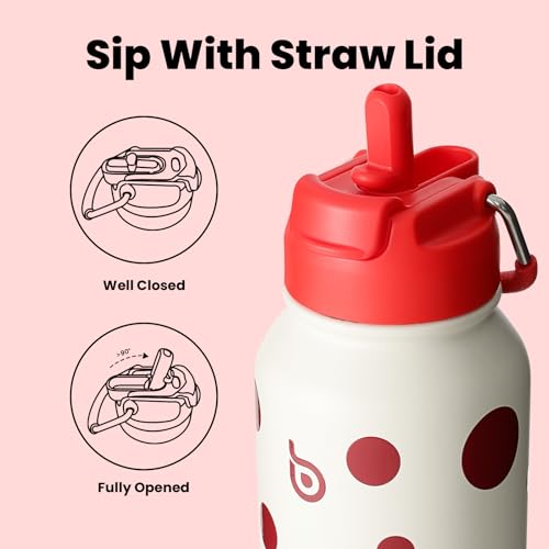 BOTTLE BOTTLE 32oz Insulated Water Bottle with Pill Box | Stainless Steel,Sport Water Bottle, with Straw Dual-use Lid and Pill Box, Design for Gym - color: Polka Pop