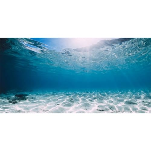 AWERT 60x24 in Aquarium Backdrop Undersea Ocean Floor Fish Tank Background | AWERT Clear Underwater Seabed Theme Vinyl Terrarium Background - size: 60x24in/150x60cm