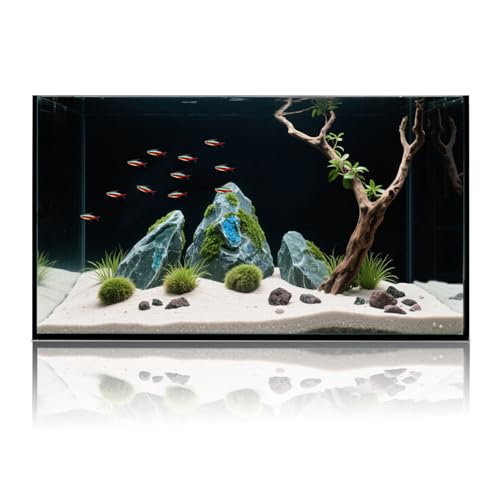 10 Gallon Glass Fish Tank, Aquarium Fish Bowl Cube for Betta Goldfish Snails Shrimp Aquatic Planting, Easy to Maintain Ultra Clear Rimless Dark Background Low Iron - color: Dark Background, size: 10 Gallon