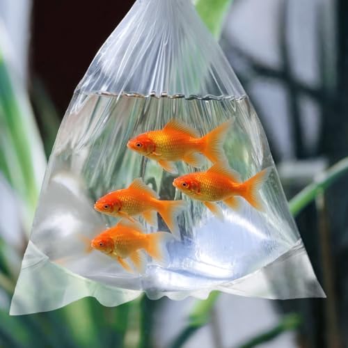 Fish Shipping Bags for Live Fish, 15x30” Round Bottom Double Seal Clear Leak-Proof Live Fishes Transport Bags Koi Transport Bag, Betta Shipping Fishery Bag (Ultimate 3 mil, 25 Pack) - color: 15x30”, 25 Pcs
