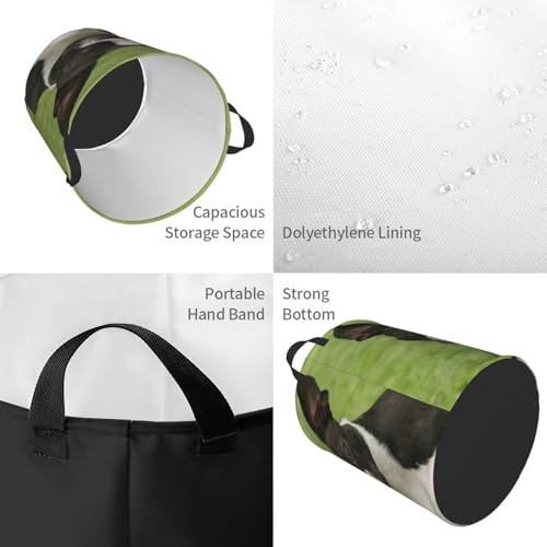 Boston Terrier Round Waterproof Oxford Cloth Laundry Basket Multi-Purpose Storage Basket Toys Books Clothes Storage Basket - color: Black 5