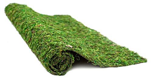 SuperMoss (22432 InstantGreen Moss Mat, Fresh Green, 1.5ft x 48ft - color: Fresh Green, size: 1.5ft x 48ft
