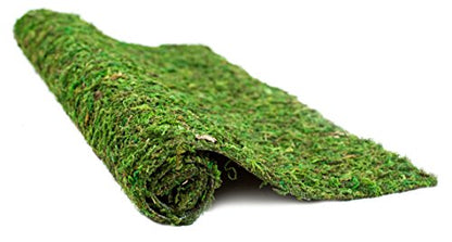 SuperMoss (22432 InstantGreen Moss Mat, Fresh Green, 1.5ft x 48ft - color: Fresh Green, size: 1.5ft x 48ft