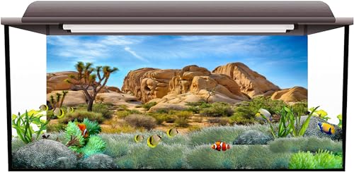 48X18 Inches Bearded Dragon Tank Background Joshua National Park Backdrop | Patterns with Desert Cactus Sandstone, suitable for Reptile Habitat Tank, Terrarium Background, Durable Polyester - size: 48X18