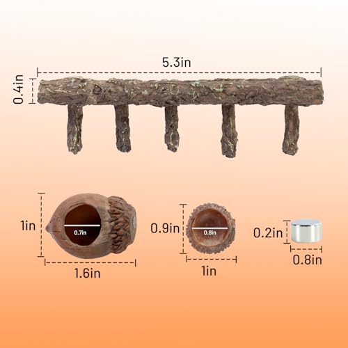 Jumping Spider Hideout and Feeding Dish, 3 in 1 Nut Shaped Hide Cave Sets for Spider Playing Feeding Climbing, Enclosure Accessories