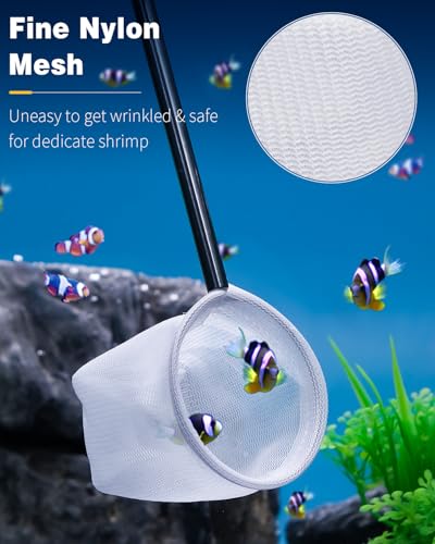 Pawfly Soft Round Aquarium Net, 2 Inch Shrimp Net with Extendable Stainless Steel Handle for Baby Fish, Food Residue Debris - color: Blue Round, size: 2 Inch