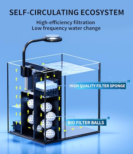 2 Gallon Glass Fish Tank Kit with Hidden Filtration Light Lid Rimless | Black Background, Dry-wet Separation Filtration, Self-cleaning, Ultra-quiet, Adjustable Water Flow, for Betta Shrimp Guppy