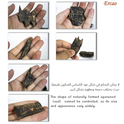 Chinese Natura Kynam Agarwood （Qinan Oud） - Boasts a Distinctly Unique Aroma, Ideal for Home Incense, Meditation & More | Sustainable Harvesting (10g Experience Pack - Sink Grade - Block) - color: 10g Experience Pack - Sink Grade - Block