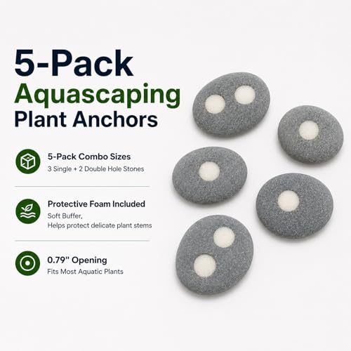 5-Pack Natural River Stone Aquarium Plant Weights, 0.79 Inch Hole | 3 Single-Hole and 2 Double-Hole Anchors, No-Tie Stem Insertion, Reusable, for Bare-Bottom and Planted Tanks