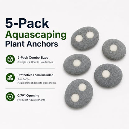 5-Pack Natural River Stone Aquarium Plant Weights, 0.79 Inch Hole | 3 Single-Hole and 2 Double-Hole Anchors, No-Tie Stem Insertion, Reusable, for Bare-Bottom and Planted Tanks