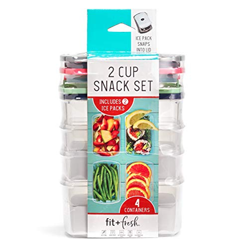 Fit & Fresh Small Plastic Containers With Lids 16 oz, Small Snack Containers With Lids For Adults and Kids, Reusable Leakproof Dressing and Condiment Containers With Two Attachable Ice Packs, 4PK, Light - size: 2 Cup