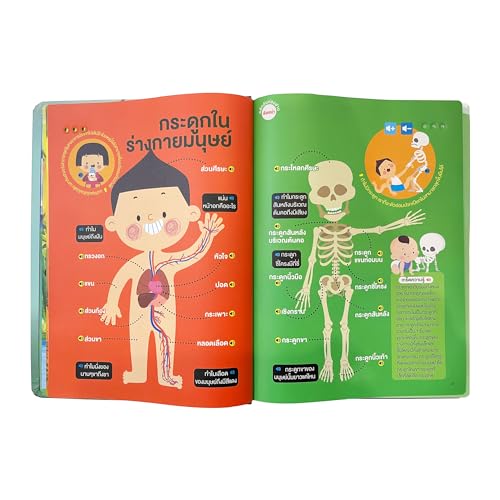 MINMEER Thai Visual Language Toy, Learn Thai Words, Phrases, Sentences, Learn to Speak, Thai Language Learning Toy for Kids and Beginner
